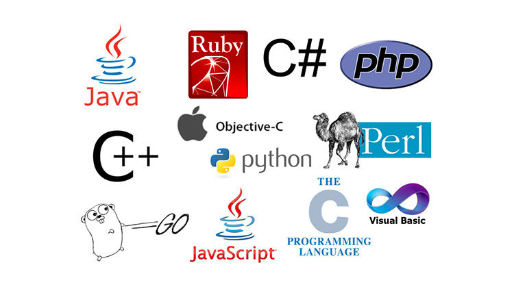 blog/cards/how-to-quickly-learn-a-new-programming-language-or-framework.jpg
