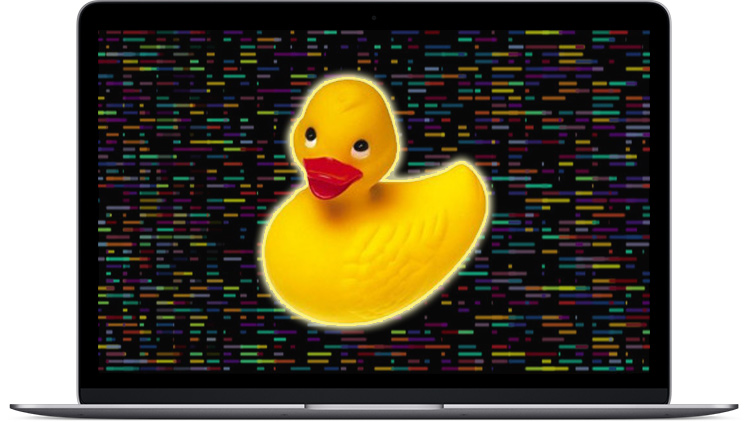 blog/cards/solve-programming-problems-with-rubber-duck-debugging.jpg